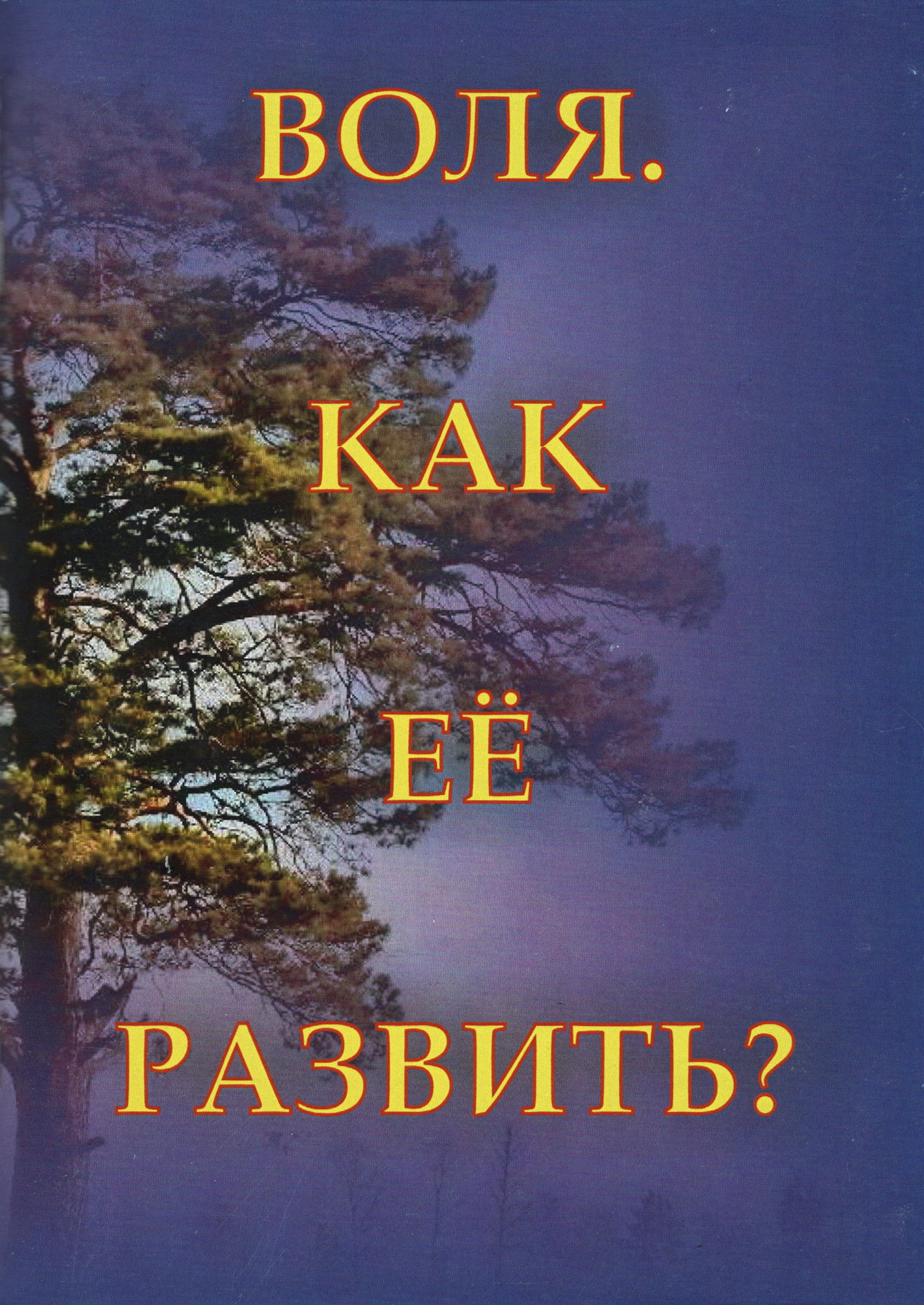 Воля. Как ее развить?. 