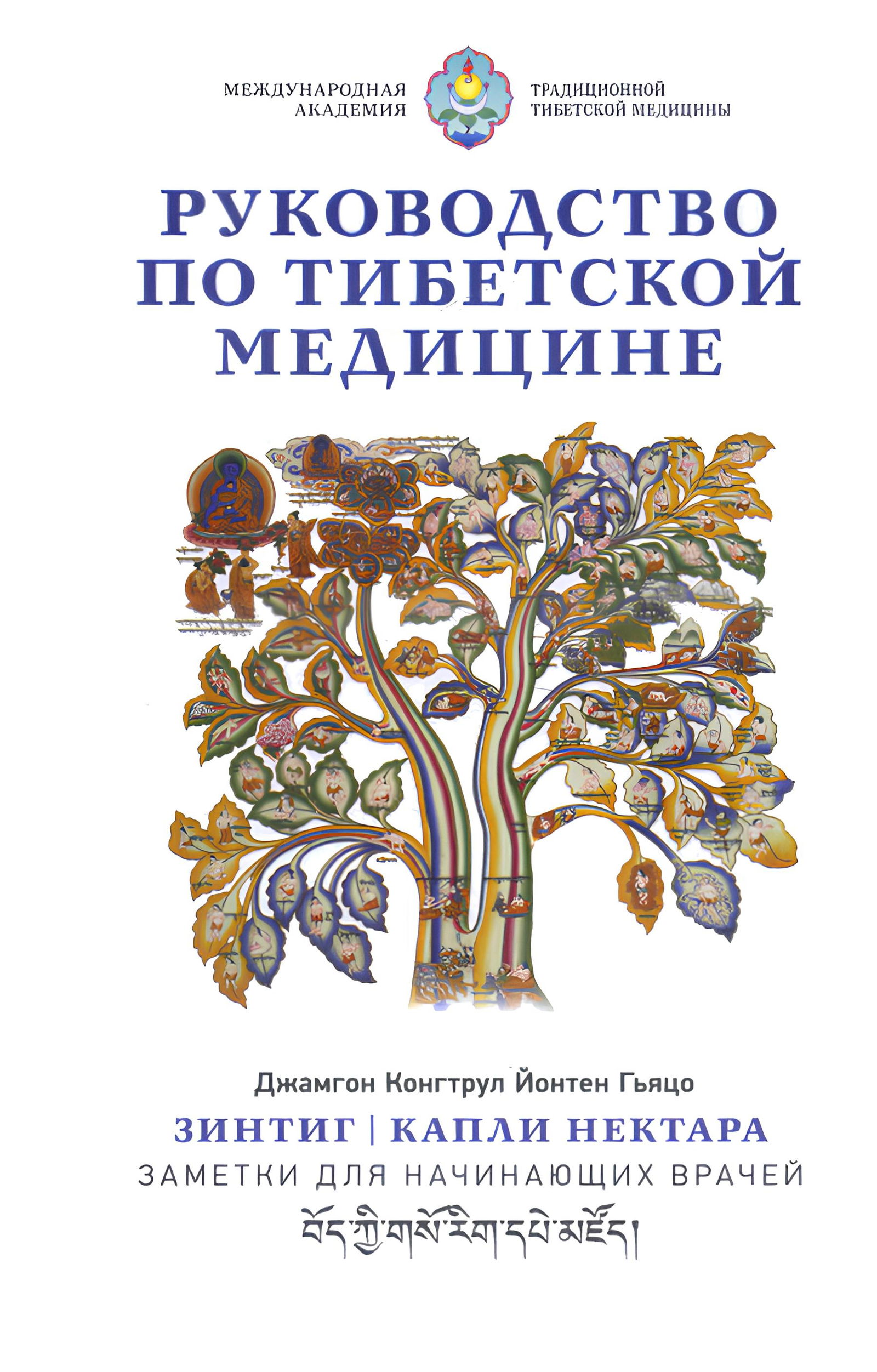 Купить книгу Руководство по тибетской медицине. Зинтиг. Капли нектара. Заметки для начинающих врачей (уценка) в интернет-магазине Ариаварта