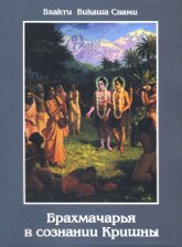 Купить книгу Брахмачарья в сознании Кришны Бхакти Викаша Свами в интернет-магазине Ариаварта