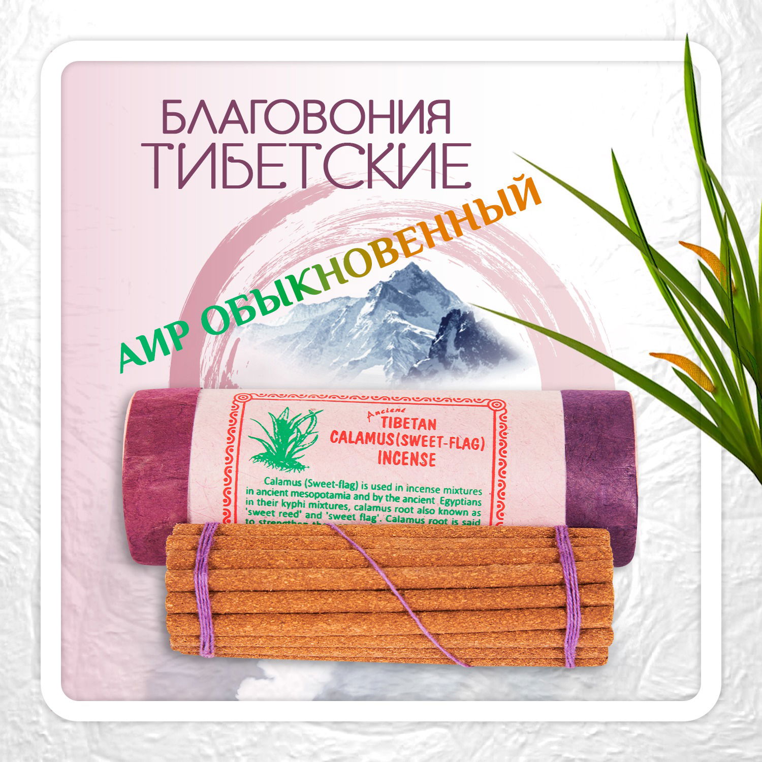 Благовоние Tibetan Calamus (Sweet-Flag) Incence / аир обыкновенный, 30 палочек по 10,5 см. 