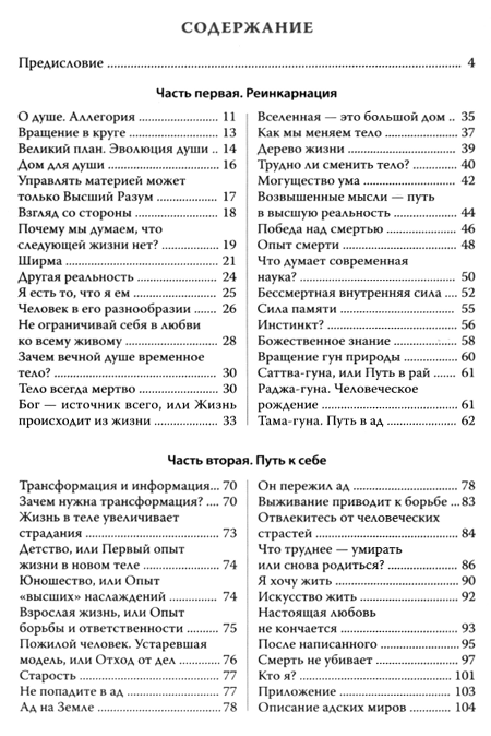 "Реинкарнация. Размышления" 