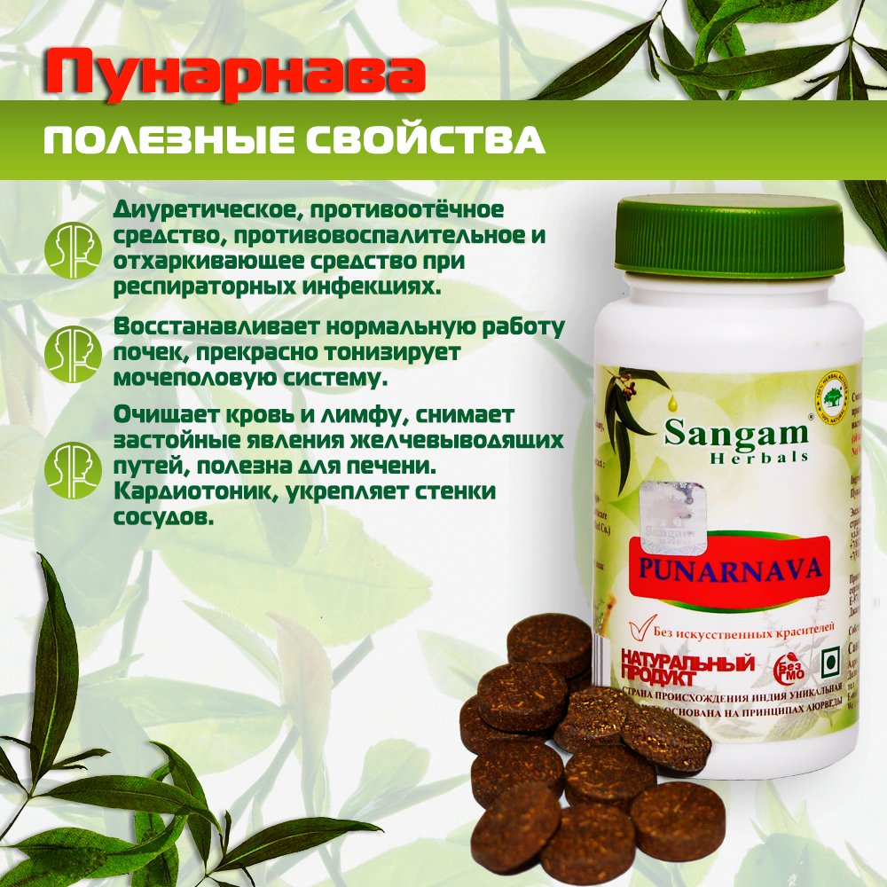 Пунарнава Sangam Herbals (60 таблеток), 
