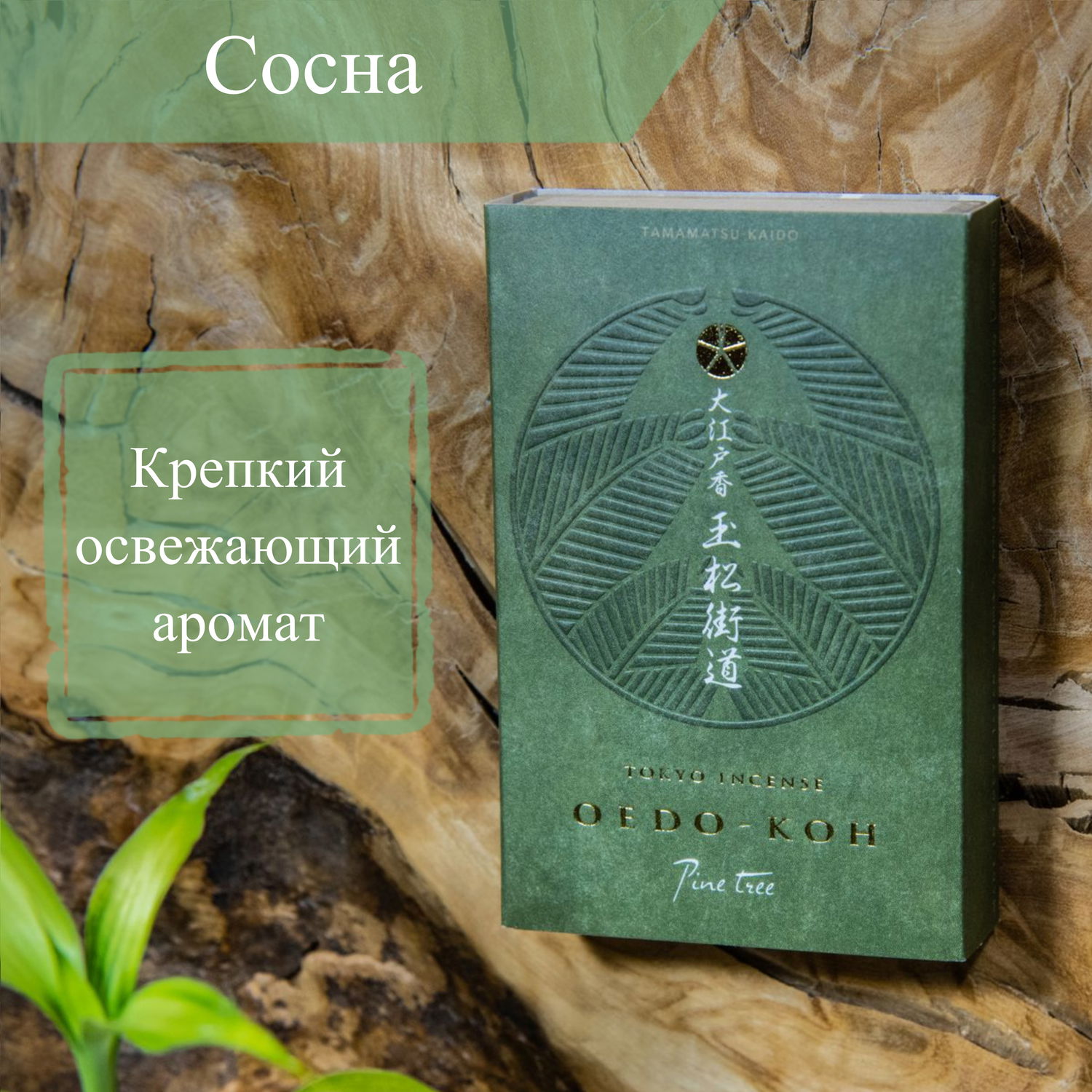 Благовоние Oedo-Koh Pine Tree (сосна), 60 палочек по 5,7 см