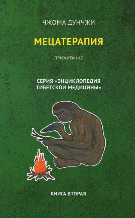 Мецатерапия. Прижигание. Книга 2