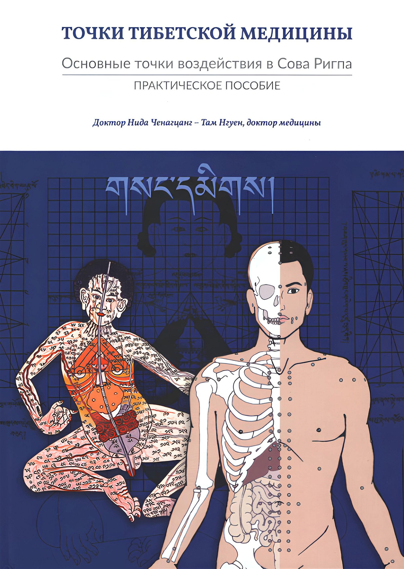 Купить книгу Точки тибетской медицины Нида Ченагцанг, Там Нгуен в интернет-магазине Ариаварта