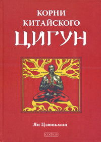 Корни китайского цигун. Секреты успешной практики