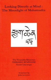 Looking Directly at Mind. The Moonlight of Mahamudra