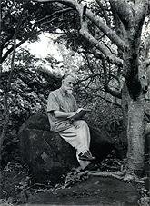 Святослав Рерих за эскизами в своем имении. Фото. Бангладор, Индия. 1963, 15,0 x 20,5 см.