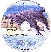 Дельфис (CD с текстами)
