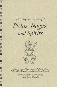 Practices to Benefit Pretas, Nagas and Spirits