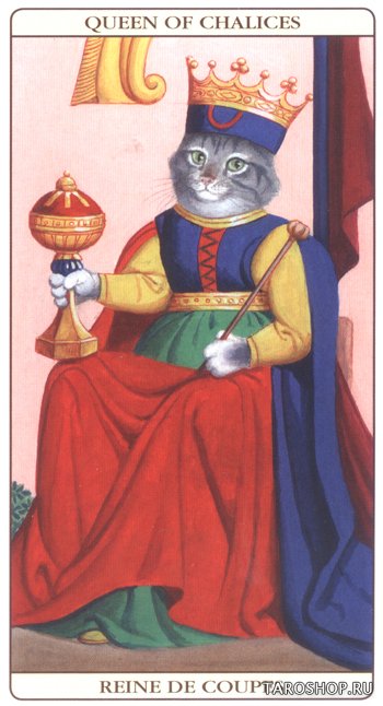 Таро Марсельских Кошек. Marseille Cat Tarot