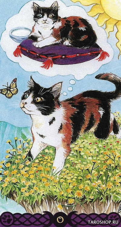 Таро Языческих Кошек. Tarot of Pagan Cats