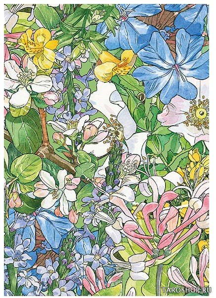 Цветочный оракул. Flowers Oracle