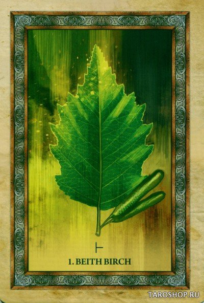 Celtic Tree Oracle. Кельтское Древо
