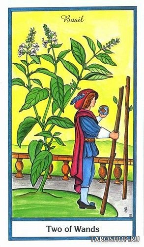 Herbal Tarot. Таро Трав