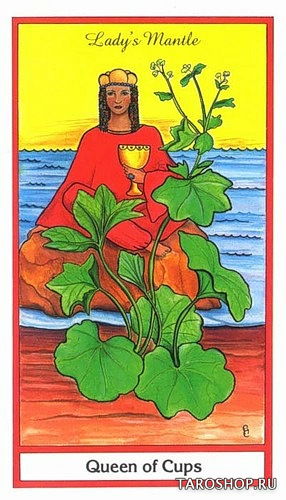 Herbal Tarot. Таро Трав