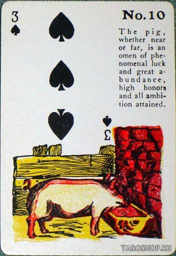 Gypsy Witch Fortune Telling Cards. Карты Цыганских Ведьм