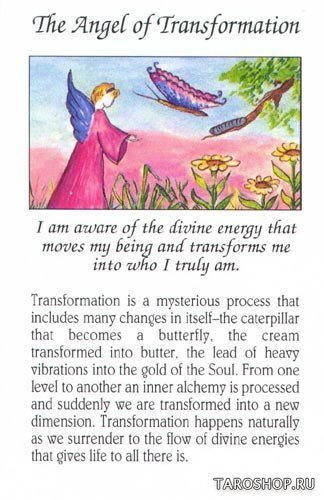 Angel Meditation Cards