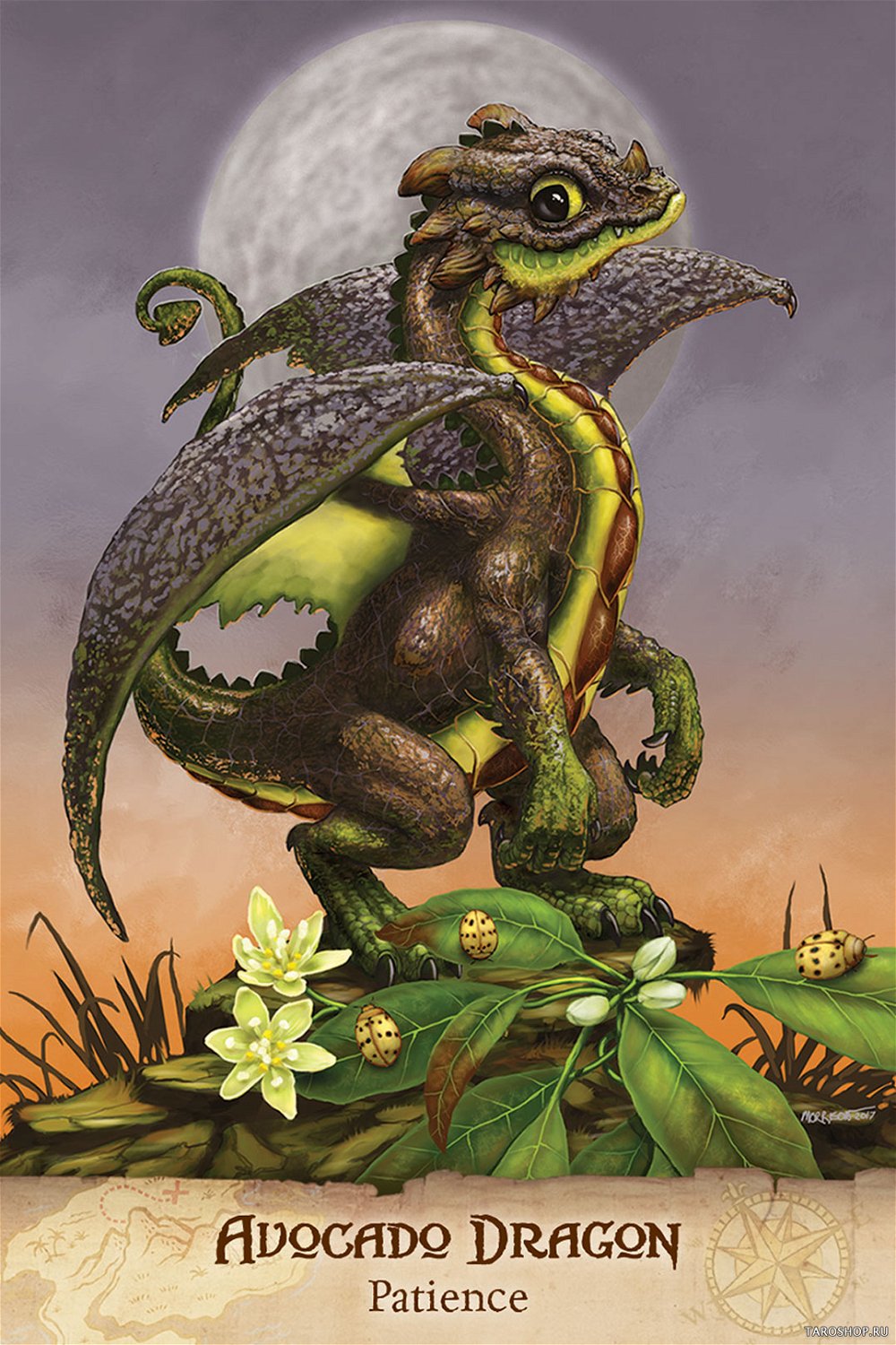 Полевое руководство по садовым драконам. Field Guide To Garden Dragons Cards