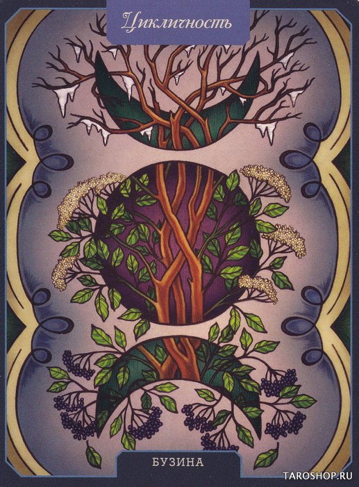 Магический гербарий. Вдохновляющие послания и ритуалы от 36 волшебных растений (книга-оракул и 36 карт для гадания)