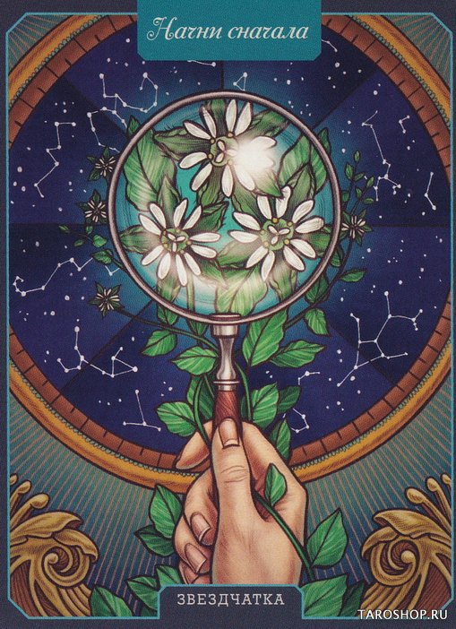 Магический гербарий. Вдохновляющие послания и ритуалы от 36 волшебных растений (книга-оракул и 36 карт для гадания)