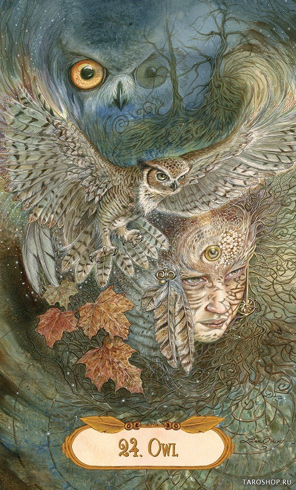 The Winged Enchantment Oracle. Оракул Крылатых чар