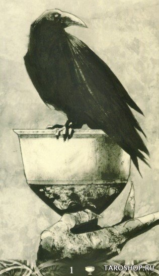 Таро Ворон Смерти. Murder of Crows Tarot (EX263), Премиум на английском