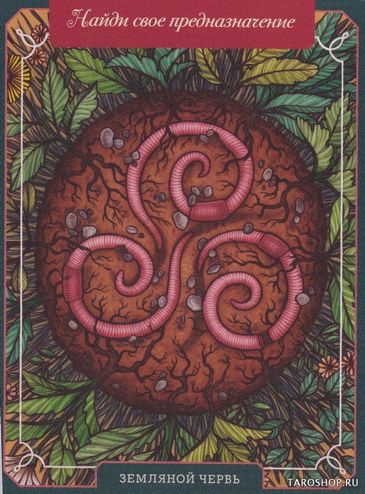 Магический бестиарий. Вдохновляющие послания и ритуалы от 36 волшебных животных (книга-оракул и 36 карт)