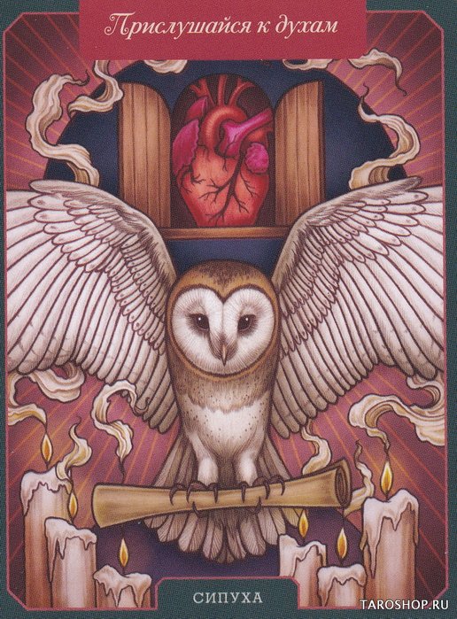 Магический бестиарий. Вдохновляющие послания и ритуалы от 36 волшебных животных (книга-оракул и 36 карт)
