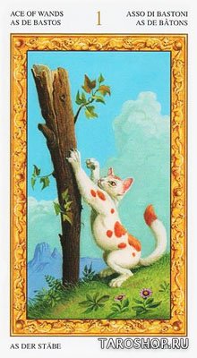 Tarot Of White Cats Таро Белых кошек (коробка на английском языке)