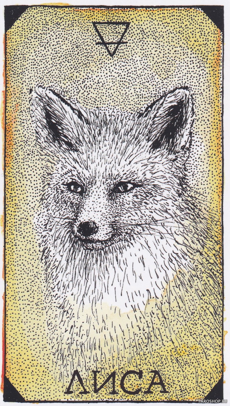 The Wild Unknown Animal Spirit. Дикое Неизвестное тотемное животное. Колода-оракул (63 карты и руководство в подарочном футляре)