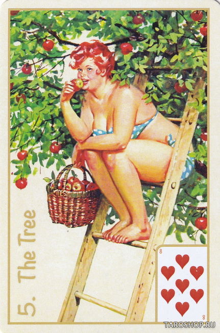 Hilda Brasil