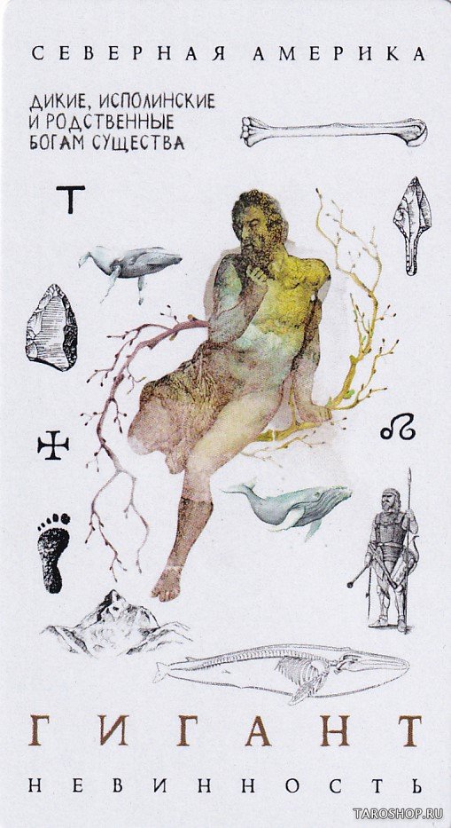 Кармический оракул мифологических существ. Тайный путь души (47 карт + брошюра)