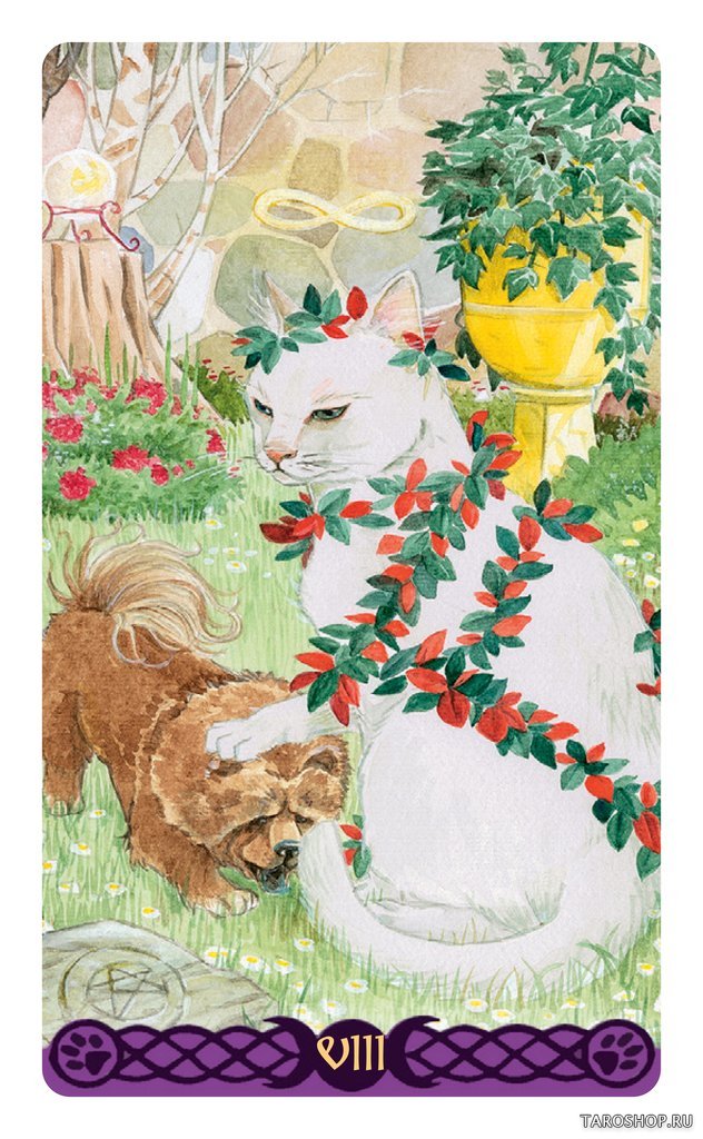 Мини Таро Языческих кошек. Mini Tarot of Pagan Cats