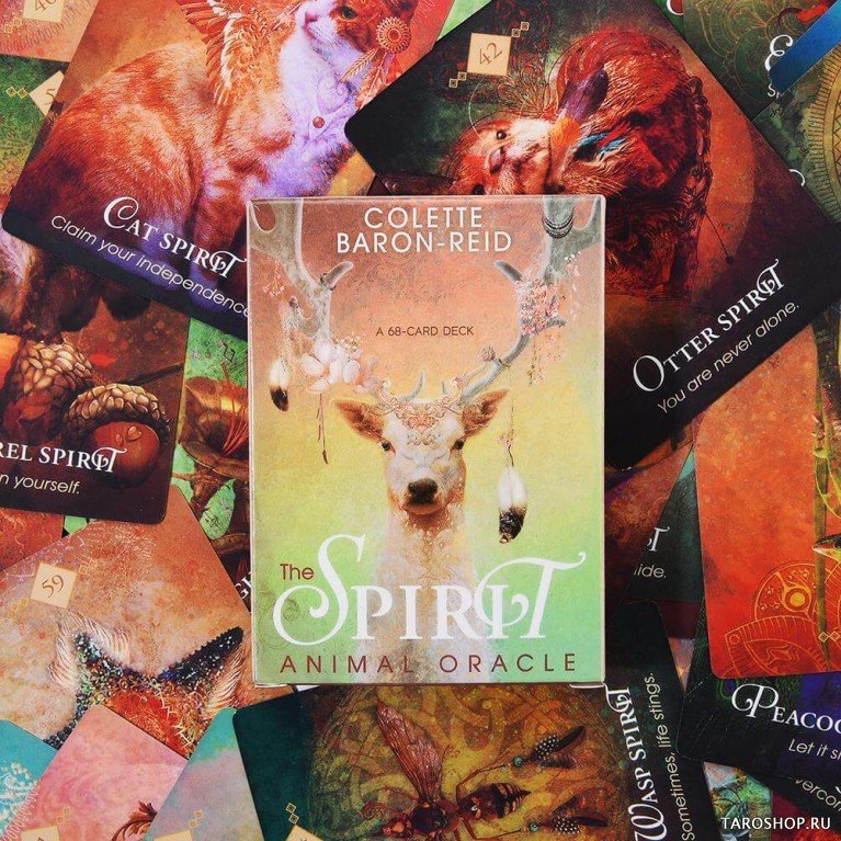 The Spirit Animal Oracle by Colette Baron-Reid