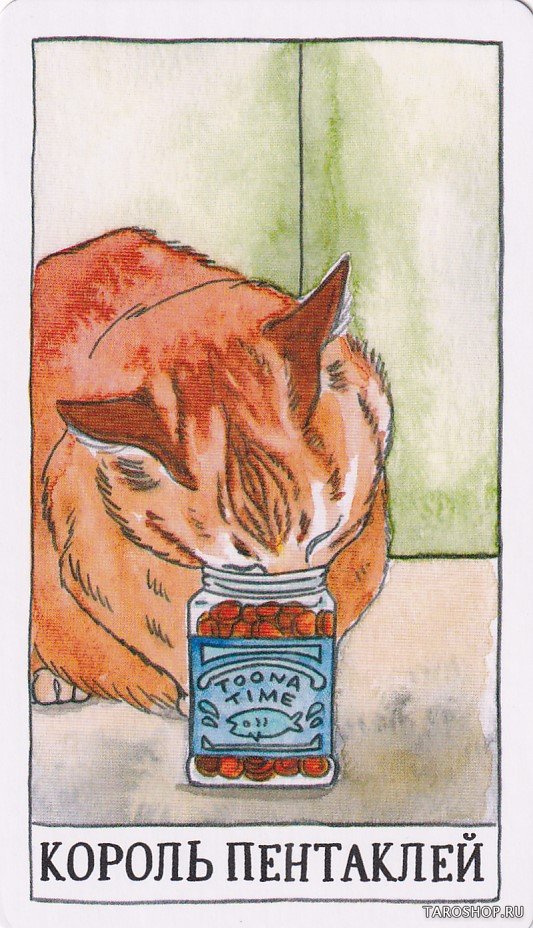 Таро Котиков (78 карт и руководство в подарочном футляре). Cat Tarot