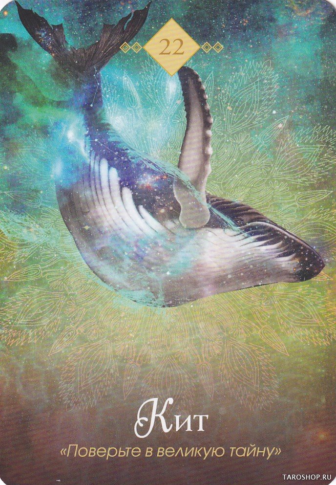 Оракул Духи животных на русском языке (68 карт и руководство в подарочном оформлении) The Spirit Animal Oracle