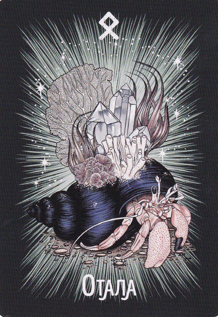 Фамильяры ведьмы. Рунический оракул Афины Ноктуа (24 карты и руководство), Фамильяры ведьмы