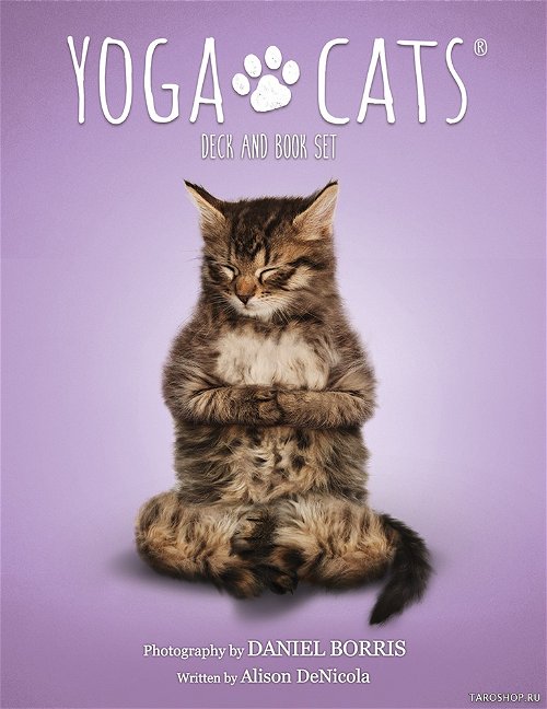 ​Yoga Cats Deck & Book Set. Йога Кошек