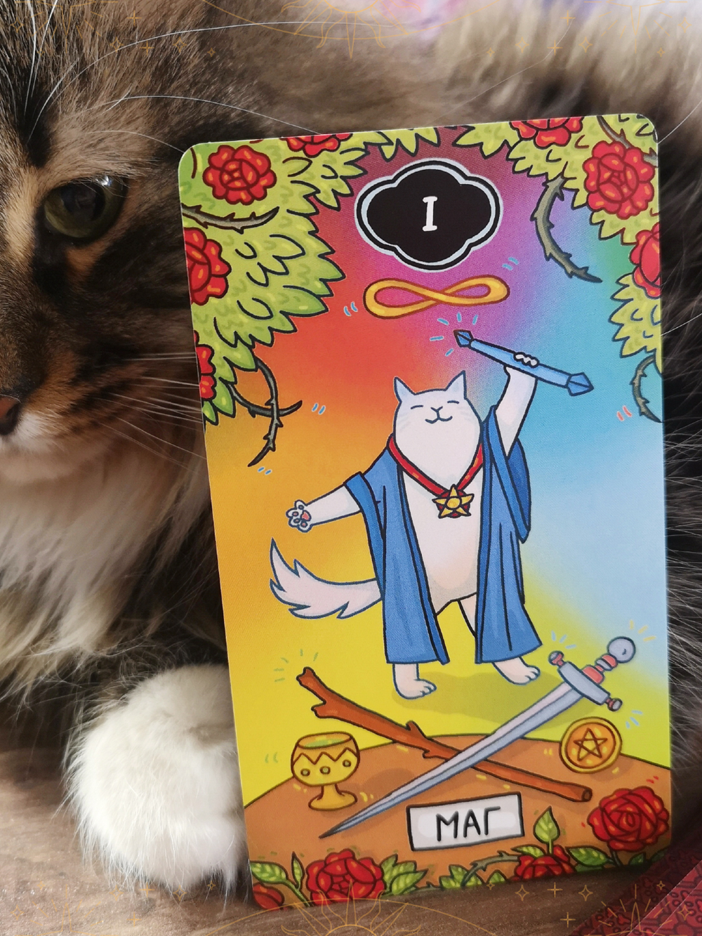 КОТО ТАРО Яны Франк