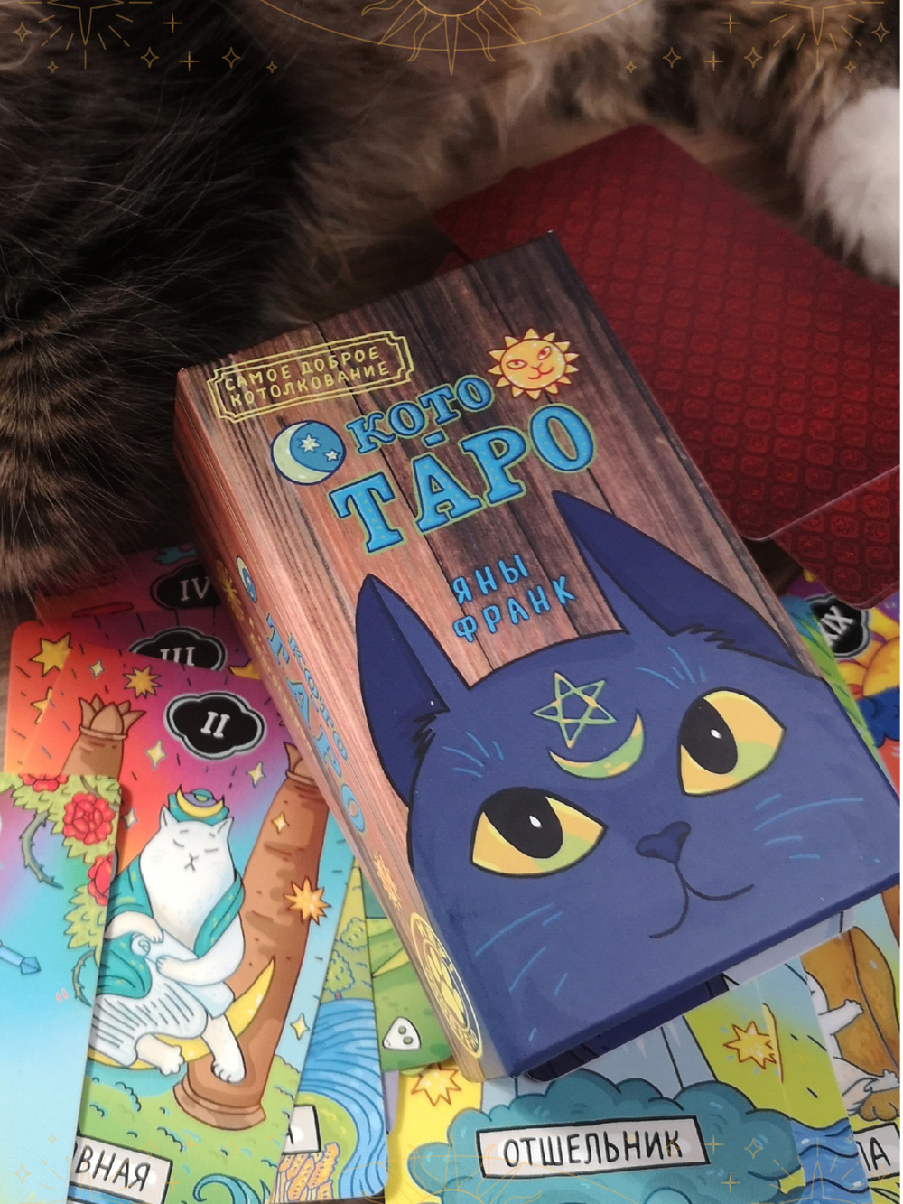 КОТО ТАРО Яны Франк