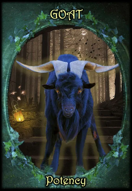Witches Familiars Oracle Cards. Оракул Фамильяры Ведьм