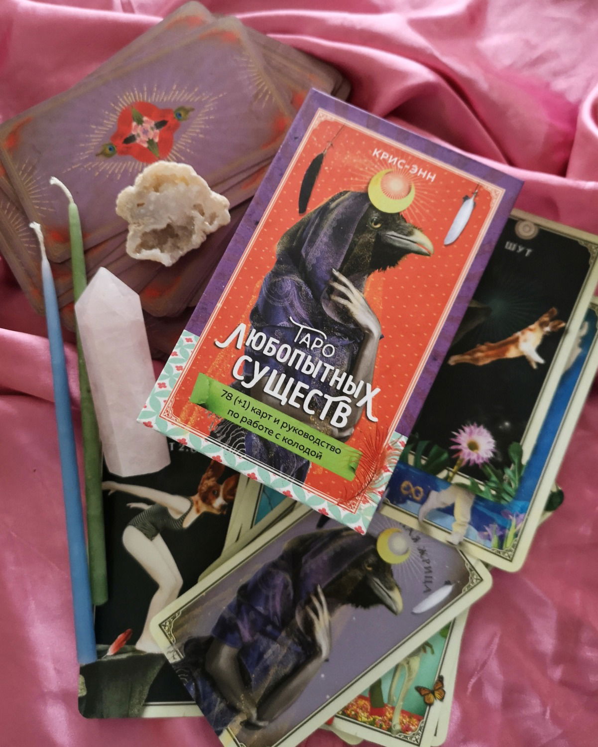 Таро Любопытных Существ на русском языке. The Tarot of Curious Creatures. 