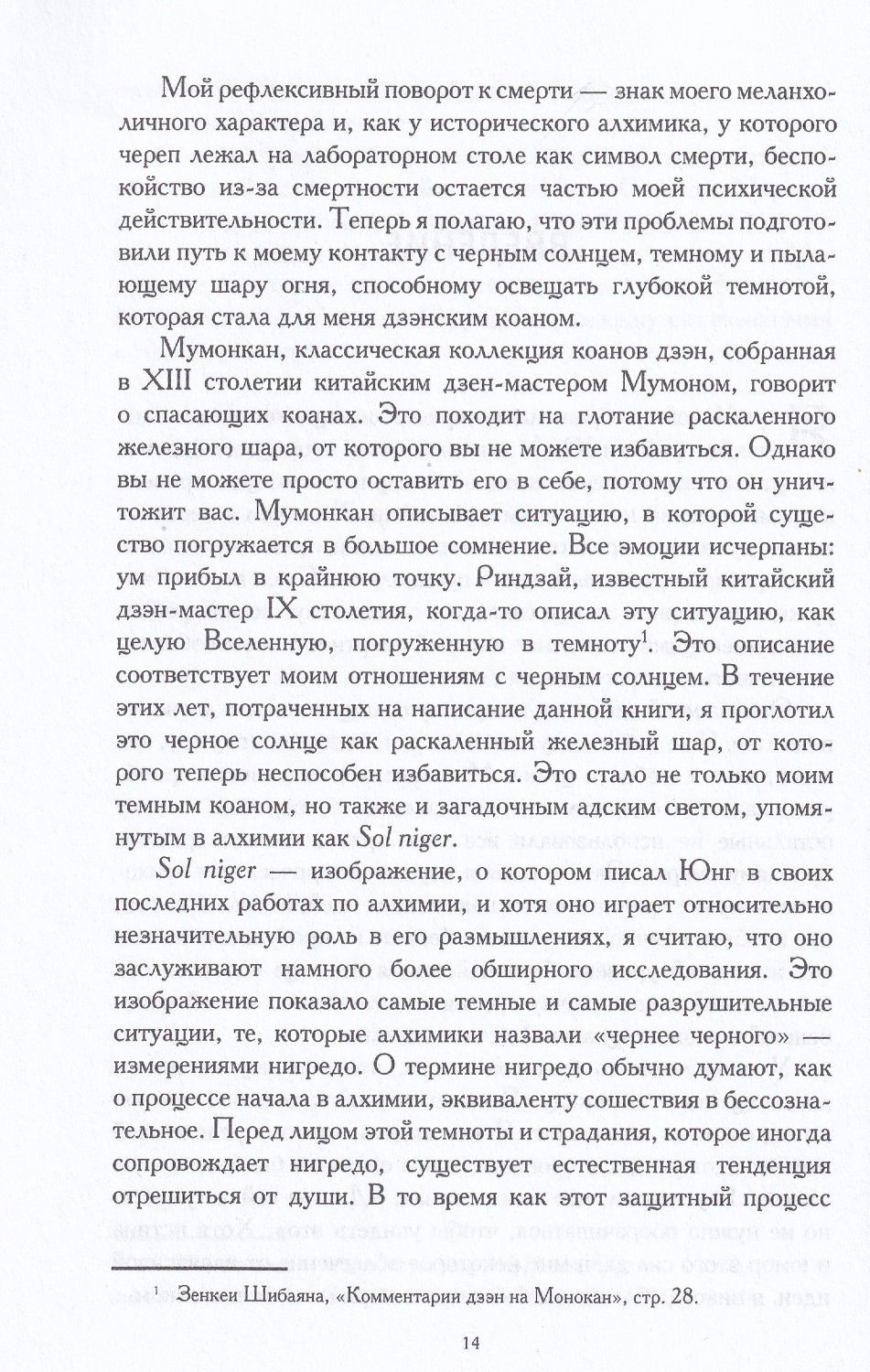 "Черное солнце. Алхимия и искусство темноты" 