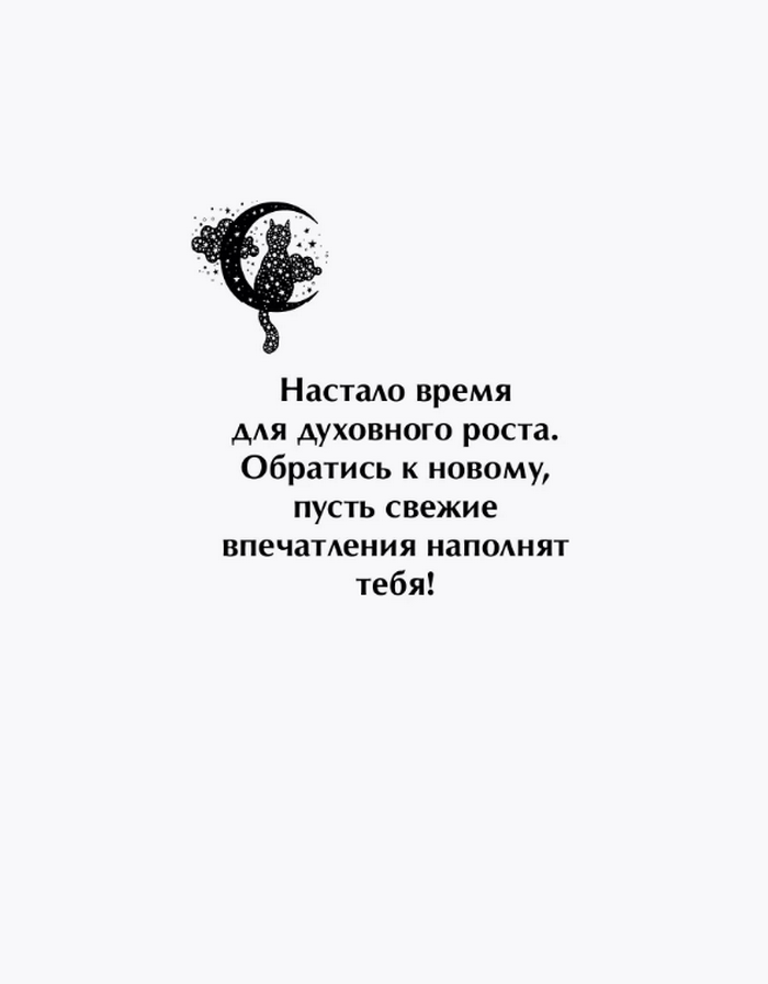 "Ответы мудрого кота, Ответы мудрого кота" 