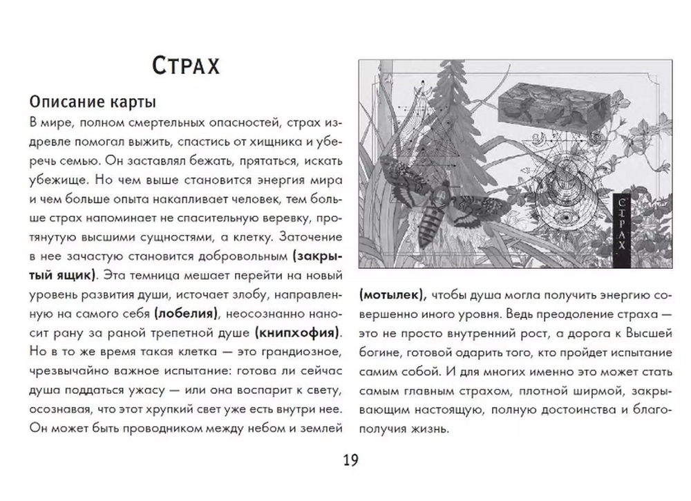 Ключи Зеленой магии. Ведьмовской оракул, Колода с инструкцией