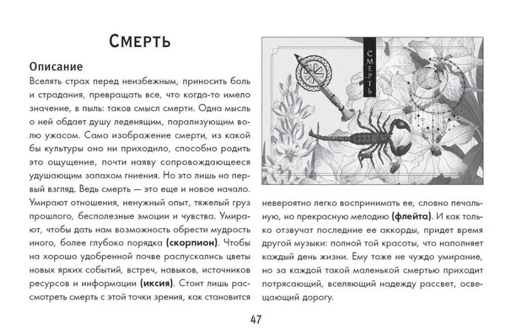 Ключи Зеленой магии. Ведьмовской оракул, Колода с инструкцией