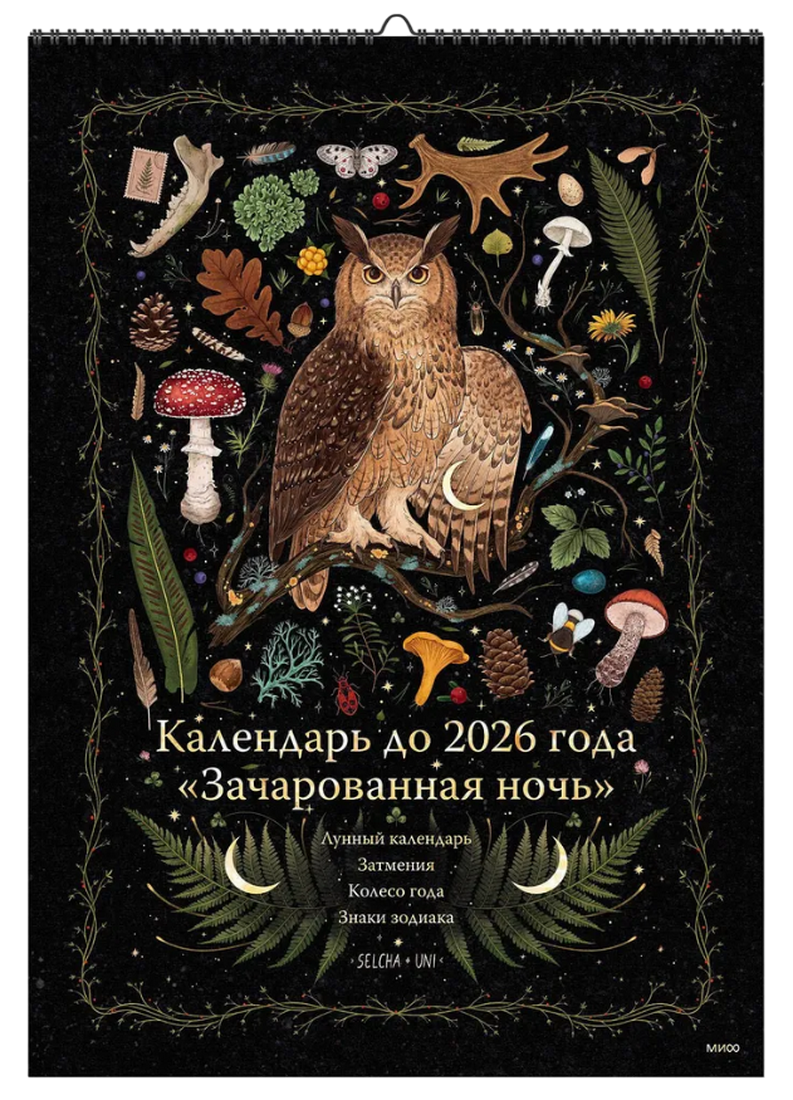 Большой календарь до 2026 года. Зачарованная ночь. СОВА, Сова (2024-2026)