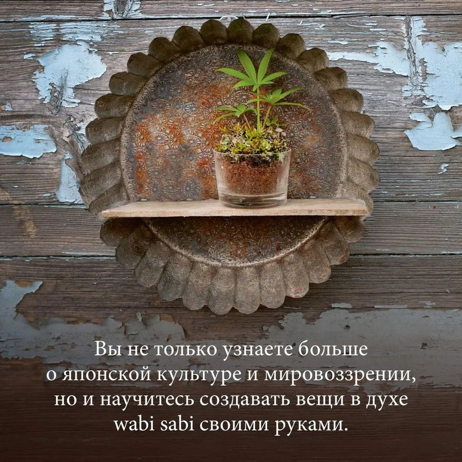 Wabi Sabi. Глоток счастья по-японски