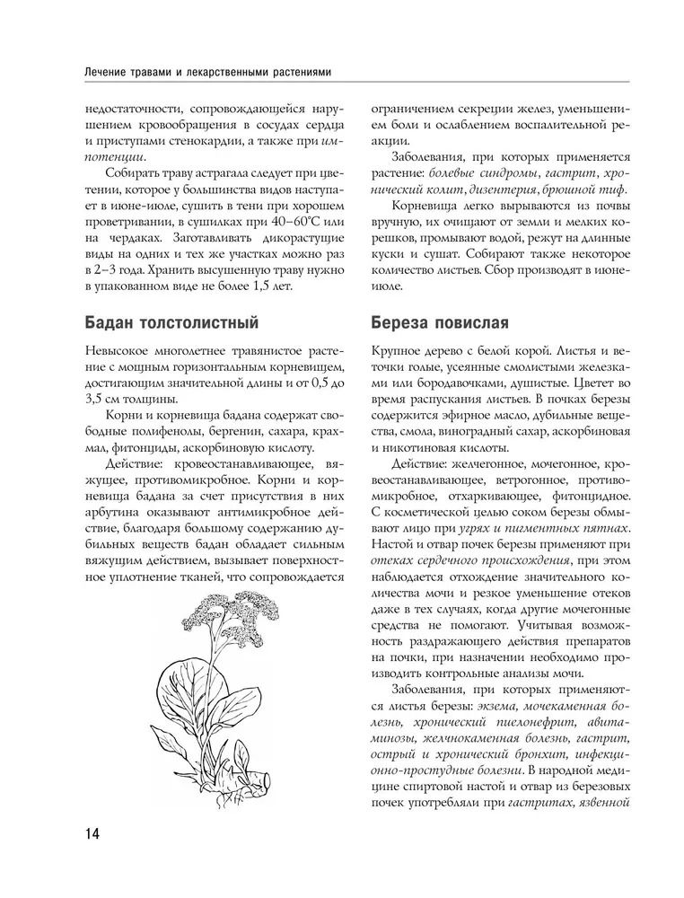 "Энциклопедия народной медицины и натуропатии" 